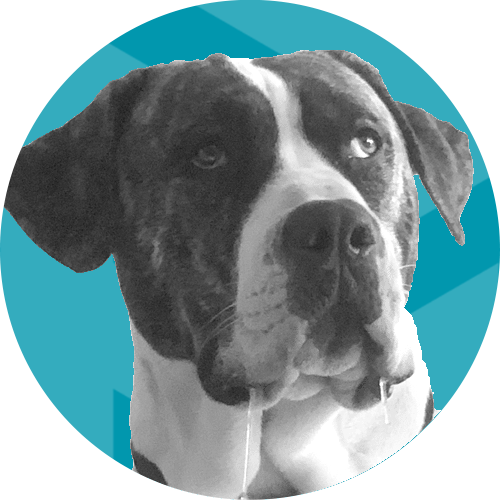 Buster-Blue buster